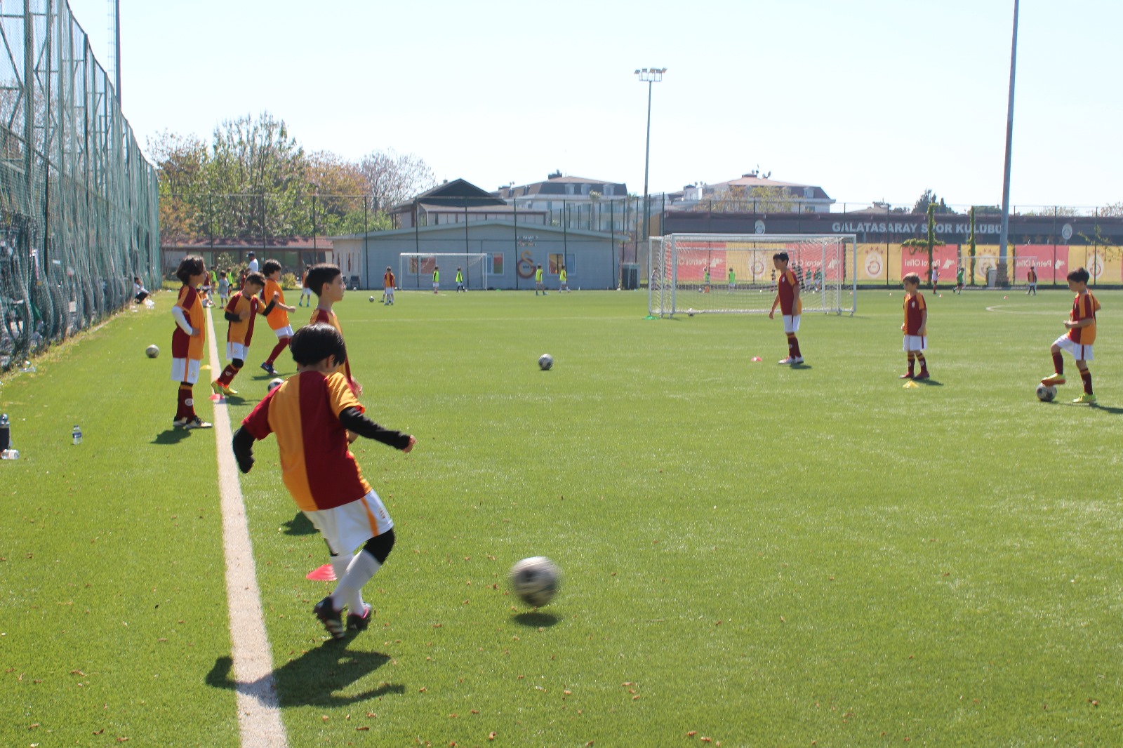 Gelişim ve Performans Programı (11-14 Yaş Grubu)